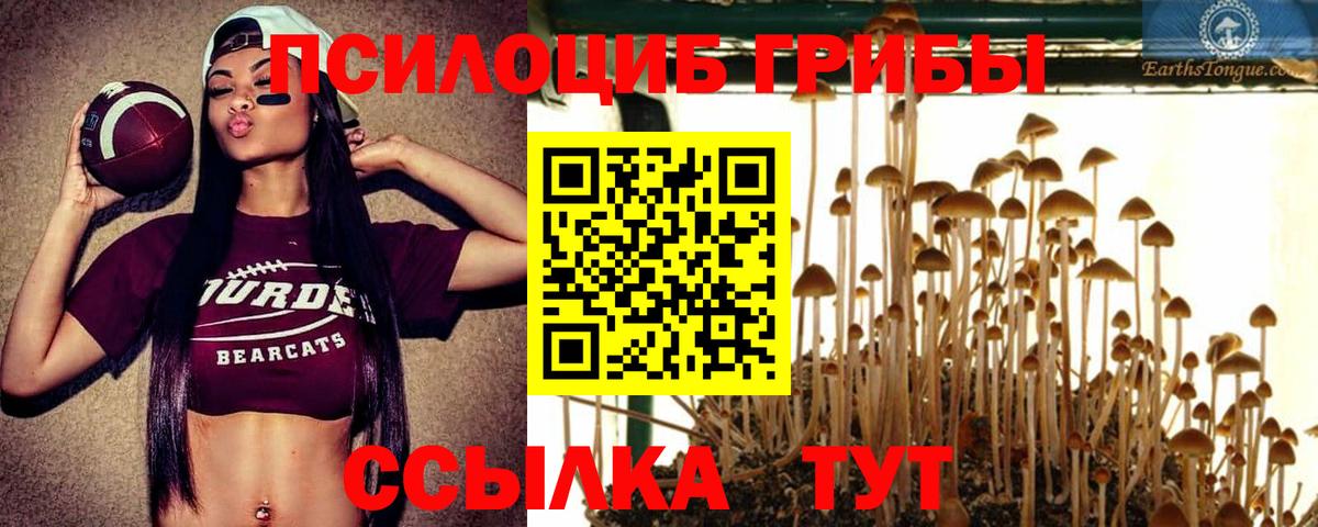 Псилоцибиновые грибы Psilocybine cubensis  Вход с VPN  Амурск 