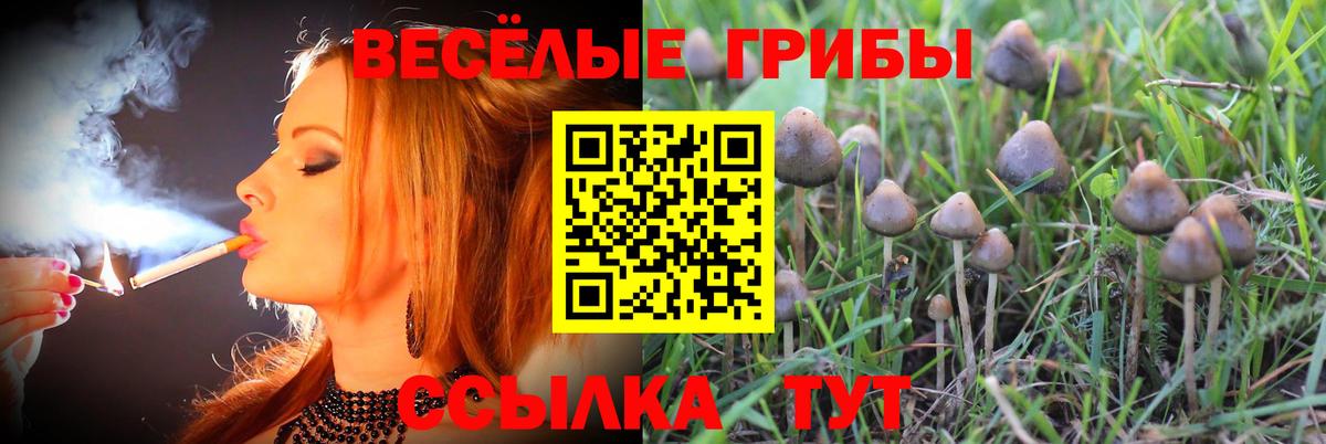 Галлюциногенные грибы мухоморы Амурск